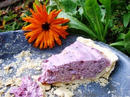 Elderberry Cream Pie.