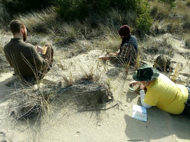 How to Track animals. Students studying animal tracks in sand dunes.