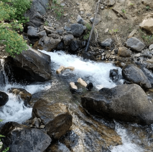 Intro Survival Trapping - Oregon • LIfesong Wilderness Adventures