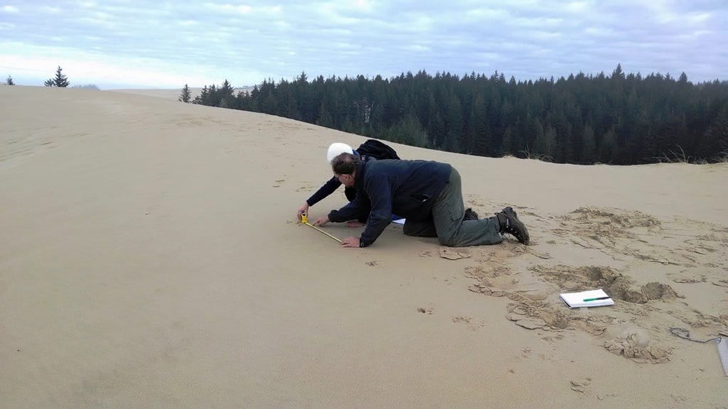 animal tracking student learning to track