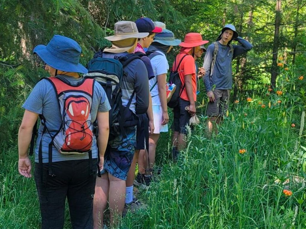 Teen Wilderness plant walk.