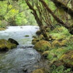 Advance Survival training landscape photo near creek. Lifesong Wilderness Adventures.