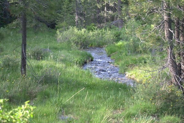 Care-taking the land with indigenous conservation techniques