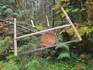 Build a Bucksaw Frame. Winter woodcraft.