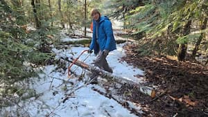 Learn to use a Bucksaw. Winter bushcraft skills.
