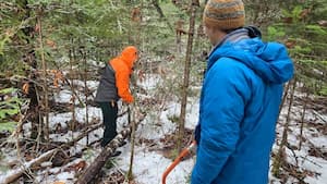 Build up your axe and winter living skills.