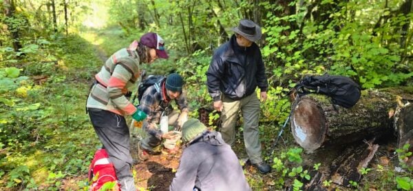 Intro Animal Tracking
